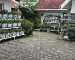 thumbnail-dijual-villa-di-jalan-ciloto-cipanas-cianjur-puncak-jawa-barat-4