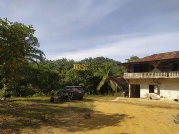 Dijual Kebun Sawit Desa Bukit Mas Kec. Besitang - Langkat