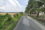 thumbnail-dijual-tanah-kosong-pasar-x-jalan-glugur-rimbun-7