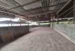 thumbnail-dijual-gudang-di-parung-panjang-bogor-6