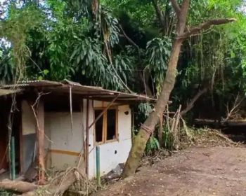 Dijual tanah dibawah NJOP pinggir jl raya di Bintaro dkt pondok Indah