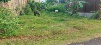 Tanah 363 meter dekat kantor camat tanjung senang