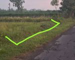 thumbnail-djual-tanah-shm-sawah-di-timur-pasar-ngino-margoagung-sayegan-sleman-1