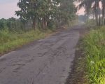 thumbnail-djual-tanah-shm-sawah-di-timur-pasar-ngino-margoagung-sayegan-sleman-2