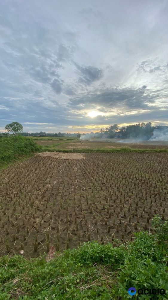 Dijual Tanah di Babat, Legok, Tangerang, Banten