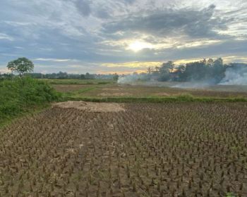 Dijual Tanah di Babat, Legok, Tangerang, Banten