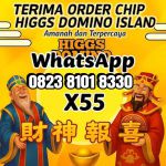 thumbnail-terima-bongkaran-chip-higgs-domino-island-0