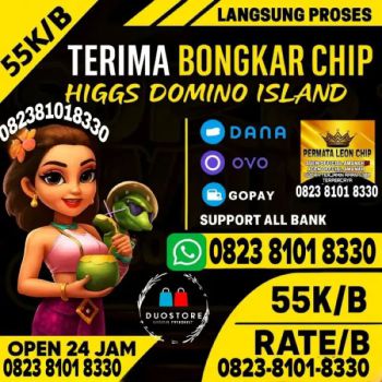 Jual Beli Chip Higgs domino Island