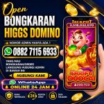 thumbnail-khusus-terima-bongkaran-chip-higgs-domino-island-terpercaya-agen-resmi-t-0