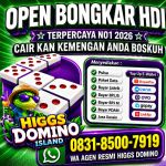 thumbnail-khusus-terima-bongkar-chip-domino-island-higgs-buka-24jam-wa0831-8500-7919-0