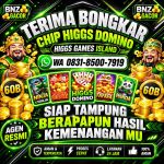 thumbnail-terima-bongkar-chip-hdi-higgs-domino-island-amanah-terpercaya-wa-083185007919-0