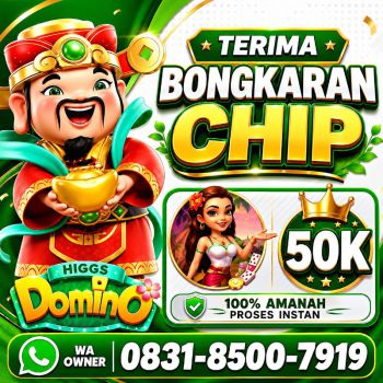 TERIMA BONGKAR CHIP HDI HIGGS DOMINO ISLAND JUAL BELI CHIP HDI WA 083185007919