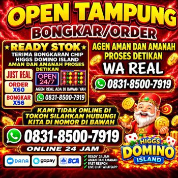 𝐒𝐓𝐀𝐑𝐋𝐀 𝐒𝐓𝐎𝐑𝐄 KHUSUS TERIMA BONGKAR CHIP HDI HIGGS DOMINO ISLAND WA 083185007919