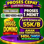 thumbnail-khusus-terima-bongkaran-chip-higgs-domino-island-0857-8353-4639-0