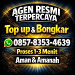 thumbnail-terima-bongkar-chip-higgs-domino-island-aman-dan-terpercaya-admin-0857-8353-4639-0