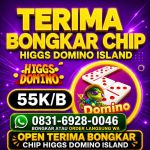 thumbnail-agen-bongkar-chip-higgs-domino-island-wa-0831-6928-0046-0