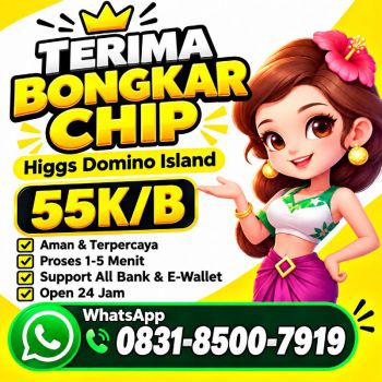 TERIMA BONGKAR CHIP HDI HIGGS DOMINO ISLAND JUAL BELI CHIP HDI WA 083185007919
