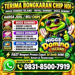 thumbnail-terima-bongkar-chip-hdi-higgs-domino-island-dan-royal-dream-wa-0831-8500-7919-0