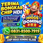 thumbnail-terima-bongkar-chip-hdi-higgs-domino-island-jual-beli-chip-hdi-wa-083185007919-0