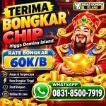 thumbnail-terima-bongkaran-chip-higgs-domino-island-amanah-dan-tepercaya-resmi-0