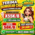 thumbnail-khusus-terima-bongkaran-chip-higgs-domino-island-terpercaya-agen-bongkar-hgi-0