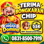 thumbnail-khusus-terima-bongkaran-chip-higgs-domino-island-terpercaya-amanah-0