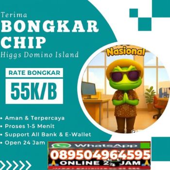 Terima bongkar chip Higgs domino island aman dan terpercaya hubungi089504964595