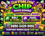 thumbnail-terima-bongkaran-chip-higgs-domino-island-aman-dan-terpercaya-wa-089654399092-0