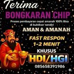 thumbnail-khusus-terima-bongkar-chip-domino-island-higgs-buka-24jam-wa082371056665-0