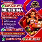 thumbnail-khusus-terima-bongkar-chip-domino-island-higgs-buka-24jam-wa0895-0496-4595-0