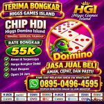 thumbnail-khusus-terima-bongkar-chip-domino-island-higgs-buka-24jam-wa089504964595-0