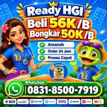 TERIMA BONGKAR CHIP HDI HIGGS DOMINO ISLAND JUAL BELI CHIP HDI WA 083185007919