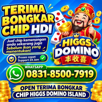 Terima Bongkar Chip Hdi Higgs domino Island Amanah terpercaya Wa 083185007919