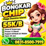 thumbnail-terima-bongkar-chip-hdi-higgs-domino-island-jual-beli-chip-hdi-wa-083185007919-0