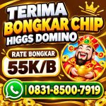 thumbnail-agen-jual-beli-terima-bongkar-chip-domino-higgs-domino-island-fast-respon-24-jam-0