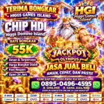 thumbnail-terima-bongkar-chip-hdi-higgs-domino-island-jual-beli-chip-hdi-wa089504964595-0