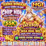 thumbnail-khusus-terima-bongkar-chip-domino-island-higgs-buka-24jam-089504964595-0