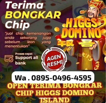 TERIMA BONGKAR CHIP HDI HIGGS DOMINO ISLAND JUAL BELI CHIP HDI WA:0895_0496_4595