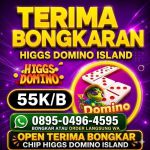 thumbnail-terima-bongkar-chip-hdi-higgs-domino-island-jual-beli-chip-hdi-wa0895-04964-595-0
