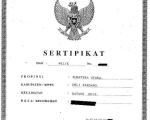 thumbnail-jual-tanah-kavling-pertanian-shm-batang-kuis-dekat-bandara-kualanamu-3