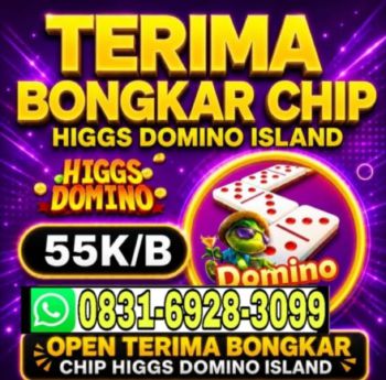 Menerima bongkar chip island higgs wa 0831-6928-3099