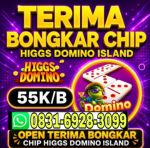 thumbnail-menerima-bongkar-chip-island-higgs-wa-0831-6928-3099-0