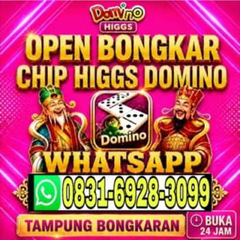 Terima jual beli bongkar chip higgs wa 0831-6928-3099