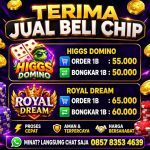 thumbnail-jasa-bongkar-chip-higgs-domino-island-fast-respon-24-jam-0857-8353-4639-0