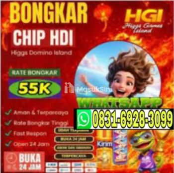 Terima bongkar chip domino higgs wa 0831-6928-3099