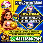 thumbnail-agen-jual-beli-terima-bongkar-chip-domino-higgs-domino-island-fast-respon-24-jam-0
