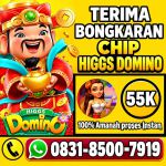 thumbnail-terima-bongkaran-chip-higgs-domino-island-amanah-dan-tepercaya-resmi-0