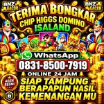 thumbnail-khusus-terima-bongkaran-chip-higgs-domino-island-terpercaya-amanah-0