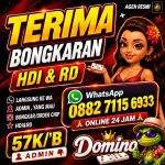 thumbnail-khusus-terima-bongkaran-chip-higgs-domino-island-amanah-dan-tepercaya-resmi-0