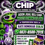 thumbnail-khusus-terima-bongkar-chip-domino-island-higgs-buka-24jam-wa0831-8500-7919-0